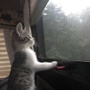 Meet your Posher, Joe